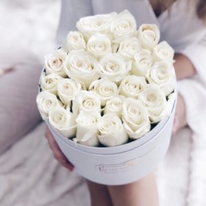 Białe róże żywe w białym flowerboxie