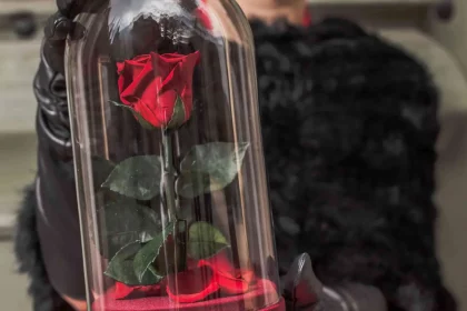 Wieczna róża w szkle - magiczny prezent dla wyjątkowej osoby