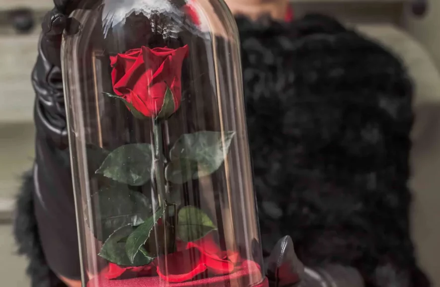 Wieczna róża w szkle - magiczny prezent dla wyjątkowej osoby