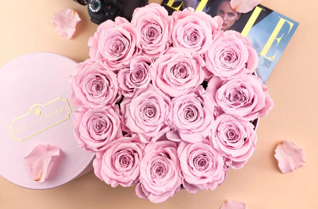 Bladoróżowe wieczne róże we flowerboxie Rose du Chateau