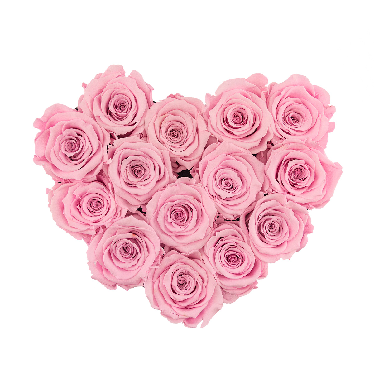 Bladoróżowe Wieczne Róże w Czarnym Boxie Heart Kwiaty z dostawą Bladoróżowe Wieczne Róże w Czarnym Boxie Heart Kwiaty z dostawą - obrazek 2