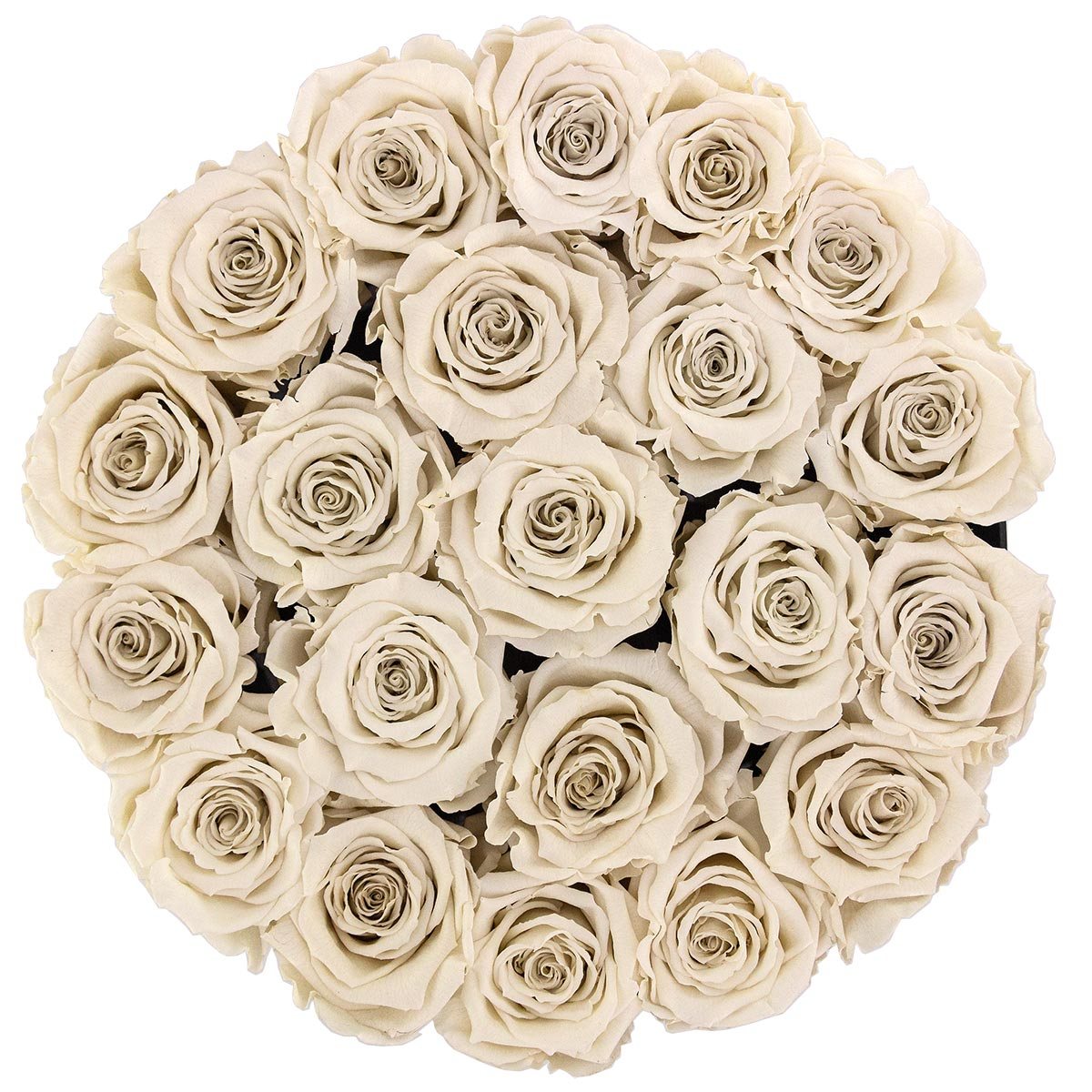 Białe Wieczne Róże Dla Żony Czarny Duży Industrialny Flower box Białe Wieczne Róże Dla Żony Czarny Duży Industrialny Flower box - obrazek 2