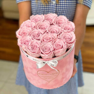 světle růžové věčné růže růžový flokovaný flowerbox love edition Rose du Chateau