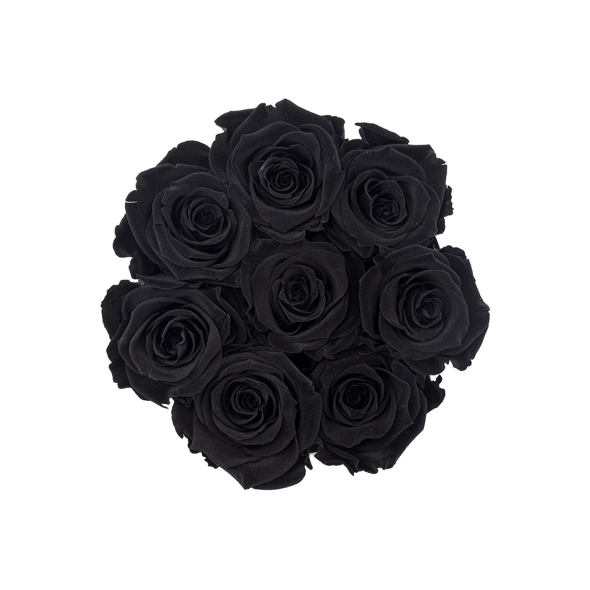 Roses éternelles noires dans une petite boîte blanche Roses éternelles noires dans une petite boîte blanche – Image 2