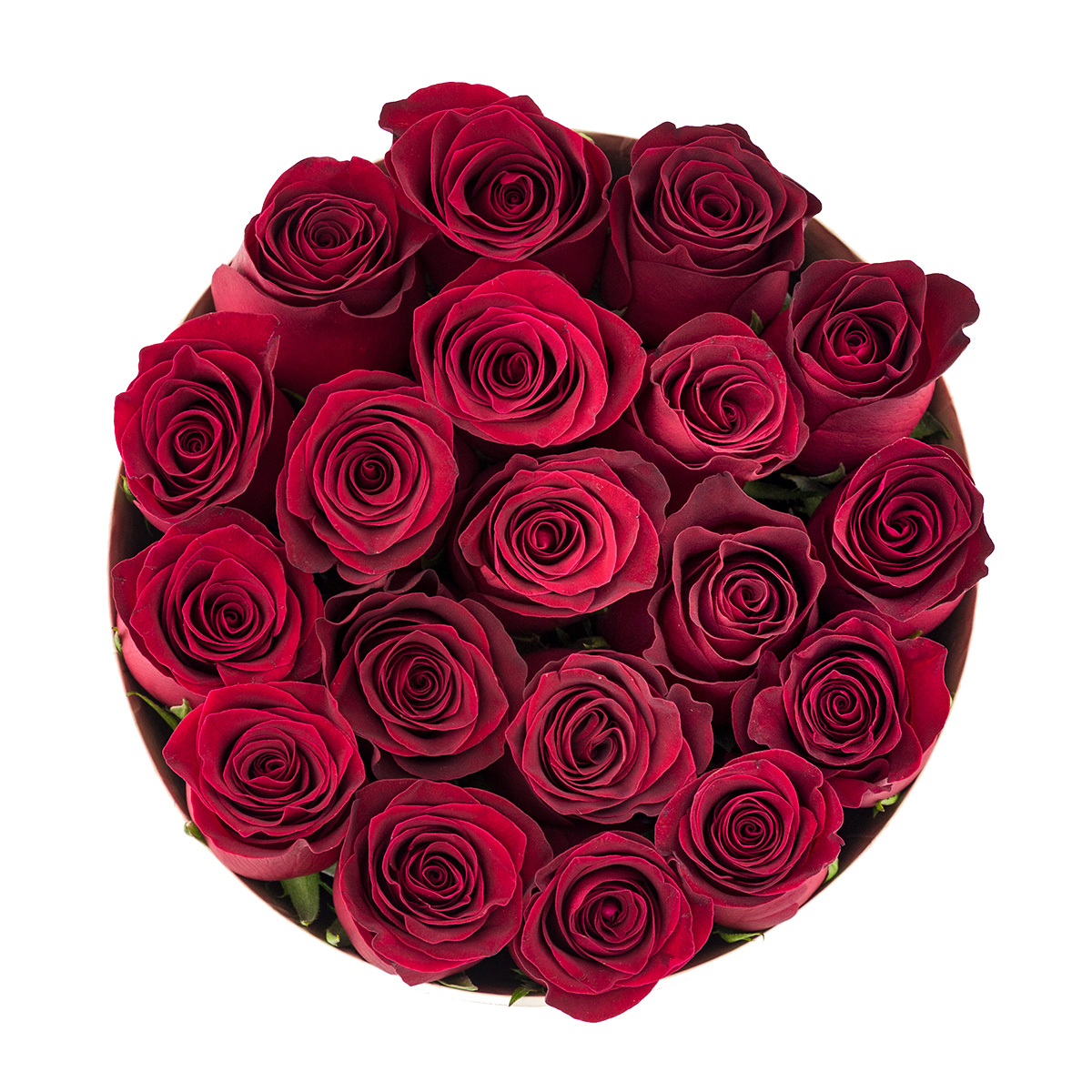 Édition Spéciale Boîte Blanche en Marbre avec des Roses Rouges Vivantes Édition Spéciale Boîte Blanche en Marbre avec des Roses Rouges Vivantes – Image 2