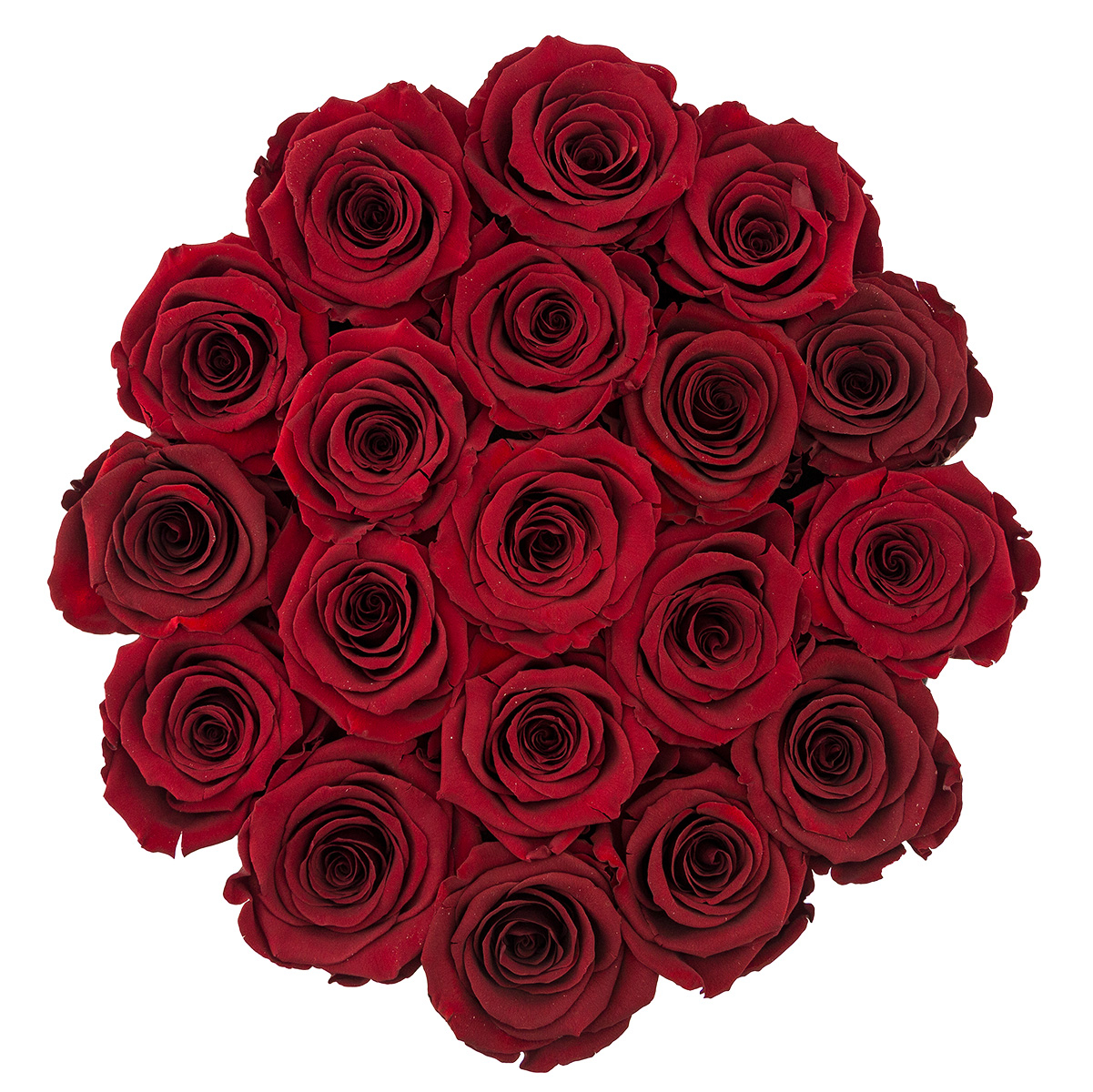 Pudełko z Różami Wiecznymi Czerwonymi Biały Flower Box Pudełko z Różami Wiecznymi Czerwonymi Biały Flower Box - obrazek 3