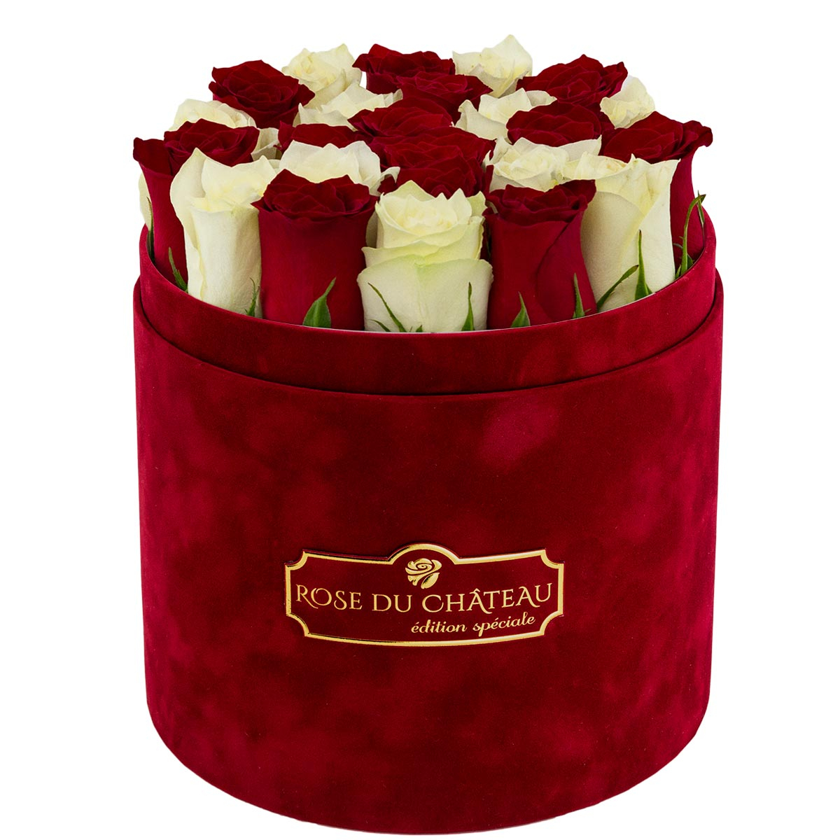 Special Edition Burgundy Flocked Box with White & Red Live Roses Special Edition Burgundy Flocked Box with White & Red Live Roses