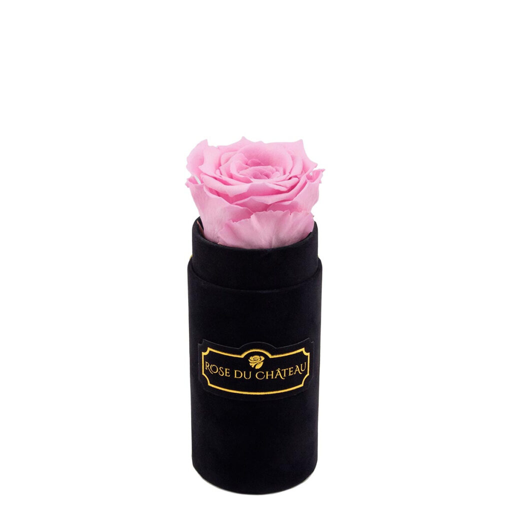 Bladoróżowa Wieczna Róża Prezent Czarny Mini Flokowany Flower Box