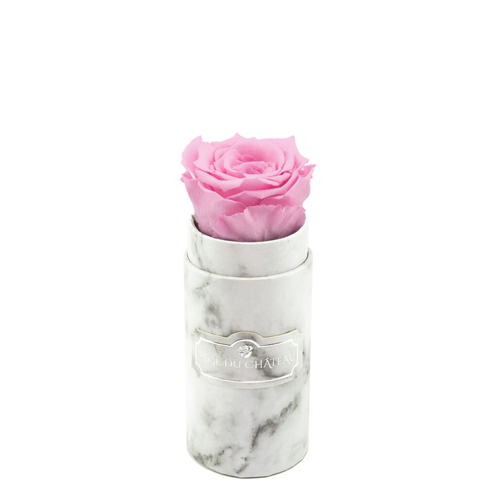 Bladoróżowa Żywa Róża Wieczna Biały Mini Marmurowy Flowerbox Rose du Chateau
