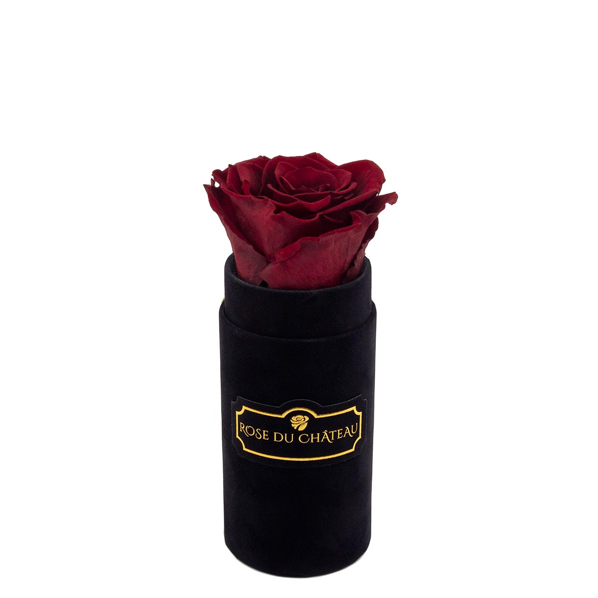 Rose Éternelle Rouge dans Mini Coffret Flocqué Noir Czerwona Wieczna Róża we Flowerboxie Flokowanym Czarnym Mini