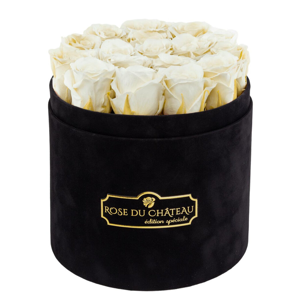 Białe Eleganckie Wieczne Róże w Czarnym Flokowanym Boxie, Flowerbox Rose du Chateau na białym tle