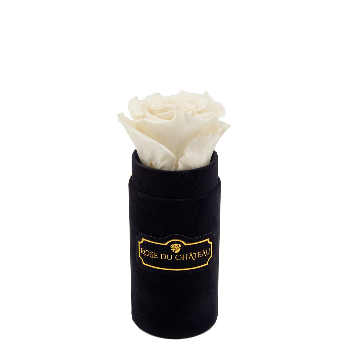Biała Róża Długowieczna w Czarnym Mini Flokowanym Boxie Biała Róża Długowieczna w czarnym welurowym boxie Rose du Chateau wieczny kwiat